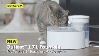 Meet the New Pumpless PetSafe® Outlast™ Pet Fountain [upl. by Henryk]