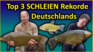 Top 3 Rekord SCHLEIEN Deutschlands  schleien angeln [upl. by Dorcus]