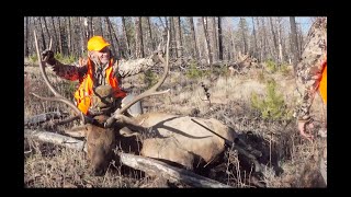 Colorado Public Land First Rifle Elk Hunt 2023 [upl. by Nimra]