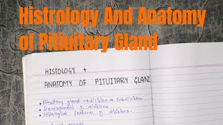 Histology and anatomy of Pituitary Gland part 1 endocrinehistology endocrineanatomy [upl. by Pennington]