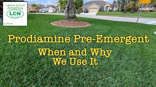 What Is Prodiamine and Why Use It In The Lawn [upl. by Yentnuoc]