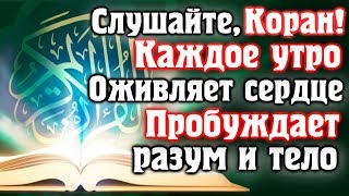 🎧 СЛУШАЙТЕ КОРАН КАЖДОЕ УТРО  ОЖИВЛЯЕТ СЕРДЦЕ ПОСЛЕ СНА ПРОБУЖДАЕТ РАЗУМ И ТЕЛО Прекрасный коран [upl. by Ainez]