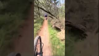 MTB Trails biker mtblovers automobile bicycle mtb bikelover mountainbike jump mtbbike [upl. by Iggy184]