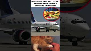 Delta Air Serving Shake Shack memes wholesomememes [upl. by Teerprah879]