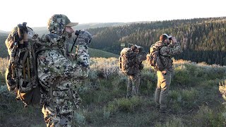 2024 OTC Archery Elk Hunt  Western Colorado [upl. by Alguire]