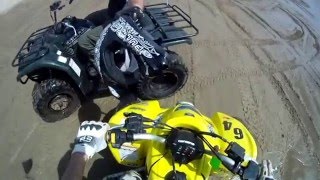 Yamaha Raptor 660R vs Bombardier DS650 vs Suzuki lt Z 400 vs Yamaha Kodiak 450 Florence Oregon [upl. by Arenahs]