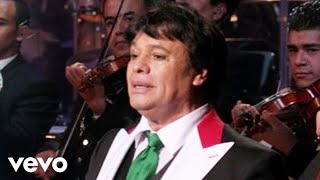 Juan Gabriel  Abrázame Muy Fuerte En Vivo Desde Bellas Artes México 2013 [upl. by Greggs]