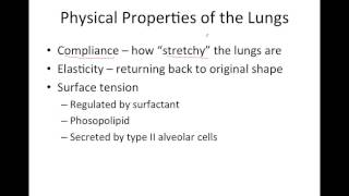 Mechanics of Ventilation [upl. by Rubio]