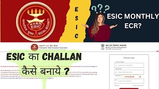 ESIC का Challan कैसे बनाये  ESIC Return कैसे Fill करें  ESIC Challan Generation [upl. by Butte930]