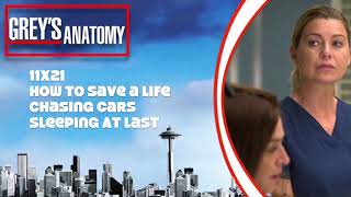 Greys Anatomy Soundtrack  quotChasing Carsquot by Sleeping At Last 11x21 [upl. by Poore244]