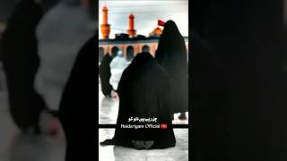 Bibi Zehra Jo Pyaro Hussain Hussain as shiastuus shortclip nohay shorts short trendingshorts [upl. by Pylle]