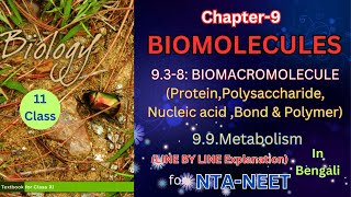 Biomolecules part 2 class 11 theory from NCERT in Bengali Harunbiozone [upl. by Eelame]