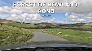 FOREST OF BOWLAND AONB  Timelapse  2023  4K [upl. by Rorrys818]