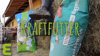 Kraftfutter  Basics Pferdefütterung 2 [upl. by Naired]