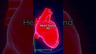 Can you guess the Auscultation Sounds🫀 [upl. by Fauman]