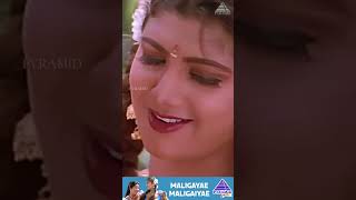 Maligayae Maligaiyae Video Song  Ninaithen Vandhai Movie Songs  Vijay  Rambha  ytshorts [upl. by Birdella]