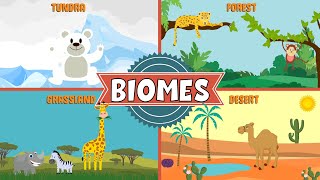 Biomes of the World  Types of Biomes  Video for Kids [upl. by Alliuqa]