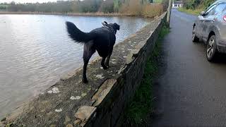 Inch Island Walkway Lough Swilly Co Donegal 11th February 2024 Part One  The Inch Island Side [upl. by Holcomb290]