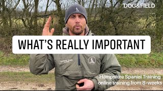 What’s really important Managing expectations working Cocker Springer Spaniel gundog training [upl. by Mensch]