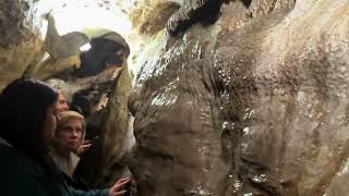 Linville Caverns NC full tour [upl. by Adniram]