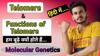 Telomere and Functions of Telomere  हम बूढ़े क्यों होते हैं  Molecular Genetics [upl. by Nlocnil]