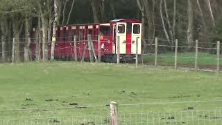 Perry Grove Railway diesel train [upl. by Melisandra519]