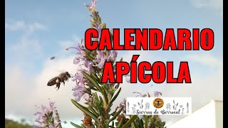 Calendario apícola [upl. by Dever]