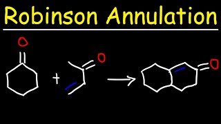 Robinson Annulation Reaction Mechanism [upl. by Gamber]