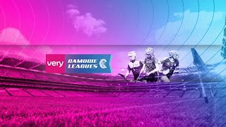 WATCH  Very Camogie 1B League Final  Wexford v Dublin [upl. by Iene]