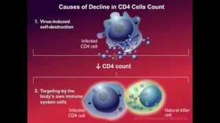 How HIV Causes Disease [upl. by Eicarg935]