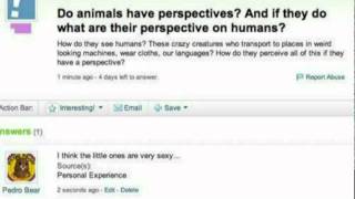 Trolling Yahoo Answers [upl. by Lexi]