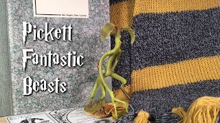 Pickett Fantastic Beasts [upl. by Scharff914]