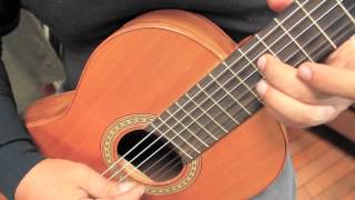 Savage Classical Guitar  John Peter Barthell 144 [upl. by Teemus]