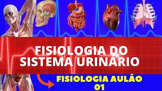 FISIOLOGIA DO SISTEMA URINÁRIOEXCRETOR FISIOLOGIA DE GUYTON  FISIOLOGIA RENAL  AULÃO FISIOLOGIA [upl. by Jb551]