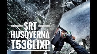 SRT  Tree Climbing  Bulldog Bone  Husqverna T536LiXP  Arborist  GoPro [upl. by Annovad713]