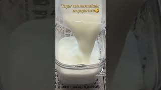 Yogur casero fácil [upl. by Suedaht]