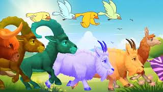 animal stampede  animals stampede green screen  green screen animals stampede  stampede animal [upl. by Rento85]