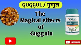 Guggul  benefits of Guggul  Guggul Ayurvedic Medicine [upl. by Gerik]