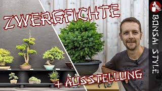 Erstgestaltung Fichte amp Bonsai Ausstellung  091 Bonsai Style [upl. by Ocsicnarf879]