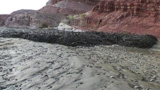 Amazing Flash Flood  Debris Flow Southern Utah HD [upl. by Ecnarepmet259]