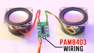 PAM8403 Amplifier board Wiring करने का सही तरीका 🔊 [upl. by Watanabe]