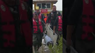 Four Yangtze finless porpoises relocated to the Yangtze River [upl. by Eiramik]