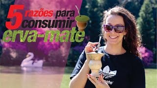 Os 5 benefícios de tomar chimarrão mate [upl. by Mina]