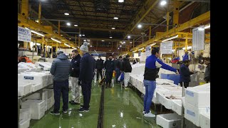 ビリングスゲイト・フィッシュ・マーケット Exploring the Vibrant Billingsgate Fish Market [upl. by Tierell]