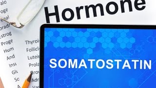 Episode 8  How Somatostatin makes you put on weight [upl. by Edmondo]