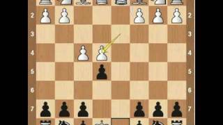 Chess Openings Falkbeer Countergambit [upl. by Rycca]