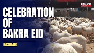 The Story and Celebration of Bakra Eid [upl. by Fionnula56]