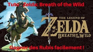 Gagner Facilement des Rubis dans Zelda Breath of the Wild  Astuce pour Devenir Riche [upl. by Calie]