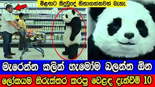 ලෝකයම නිරුත්තර කරපු වෙළඳ දැන්වීම් 10 10 Surprising Adverts That Will Leave You Speechless [upl. by Ogata]