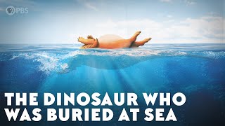 The Dinosaur Who Was Buried at Sea [upl. by Jasik]